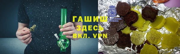 дмт Богородск