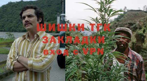 дмт Богородск